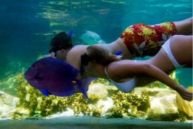 Puerto Plata: Ocean World Adventure Park Day Pass