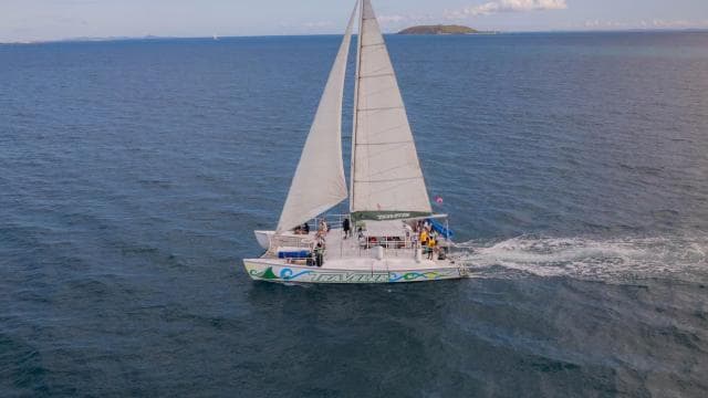 From Fajardo: Icacos Catamaran Snorkeling Tour