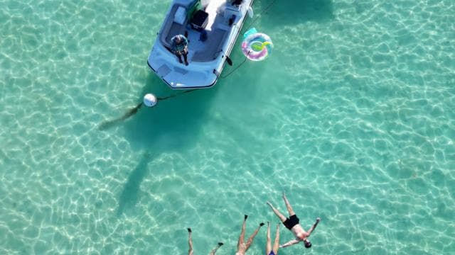 La Parguera: Half day Private Boat tour 4 hours - Photo 4 (Gallery view)