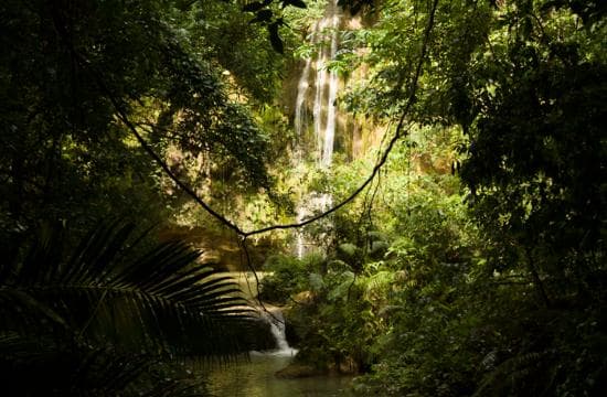 El Limón : randonnée dans les cascades avec déjeuner - Photo 4 (Gallery view)