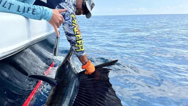 Costa Rica: Sport Fishing Half Day Private Guided Experience