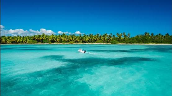 Punta Cana: Catalina Island Snorkeling and lunch Day Trip - Photo 4 (Gallery view)