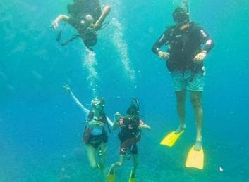 Private: Catamaran Adventure & Beach BBQ at Catalina Island
