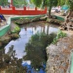 Learn about the History of Bayahibe and Bathe in 7 Springs