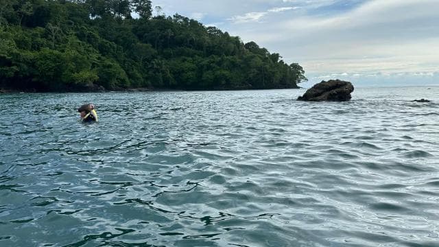 Manuel Antonio: Ocean Kayak and Snorkeling in Biesanz Beach