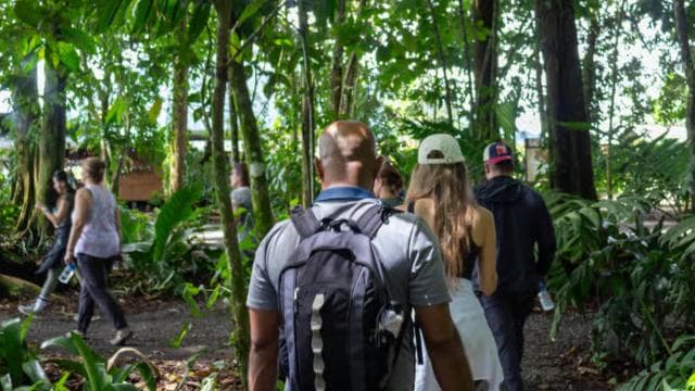 La Fortuna: Sloths & Coffee, Chocolate and Sugarcane Tour