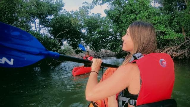 Fajardo: Bio Bay Kayak Tour - Photo 3 (Gallery view)