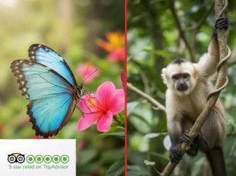 Butterfly Garden Plus Monkey Land nan Puerto Plata - Photo 2 (Gallery view)