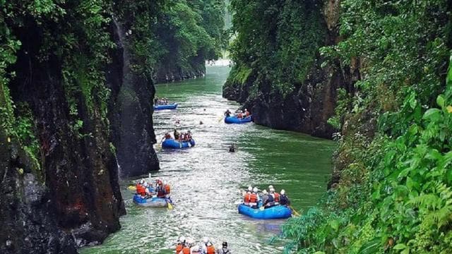 From San José: Pacuare River White Water Rafting Day Trip
