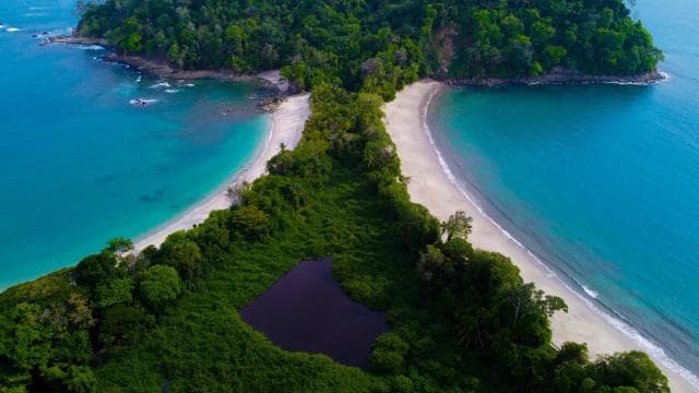 Manuel Antonio National Park Guided Tour – TICKET GUARANTEED