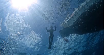 Bayahibe: Snorkeling Tour - Sea, Cotubanama park & Cenotes