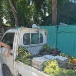 Going Deep Into The Authentic Dominican Neighborhood Tour - Photo 4 (Gallery view)