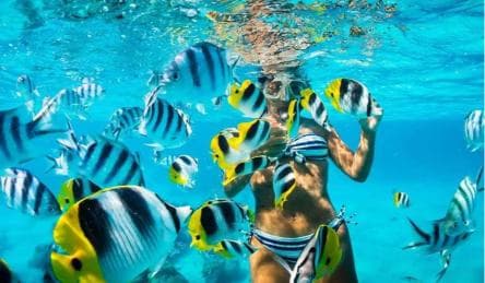 Punta Cana Bavaro: Private catamaran boat with snorkeling, open bar, and sailing
