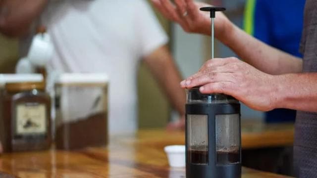 Monteverde: Coffee Tour and Night Walk