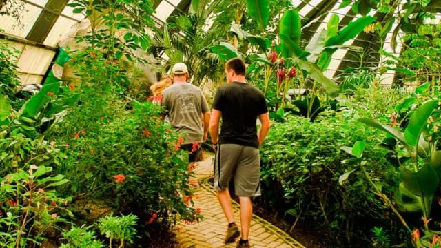 Monteverde: Suspension Bridges, Sloths, and Butterflies