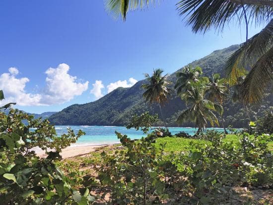 (Plage Ermitano) Excursion en bateau à Playa Ermitaño et Playa Onda, excursion d'une demi-journée, Samaná – République Dominicaine. - Photo 2 (Gallery view)