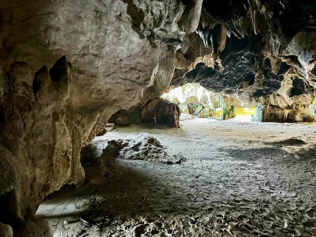 Los Haitises 4 Caves expedition & Rain Forest walk - Photo 4 (Gallery view)