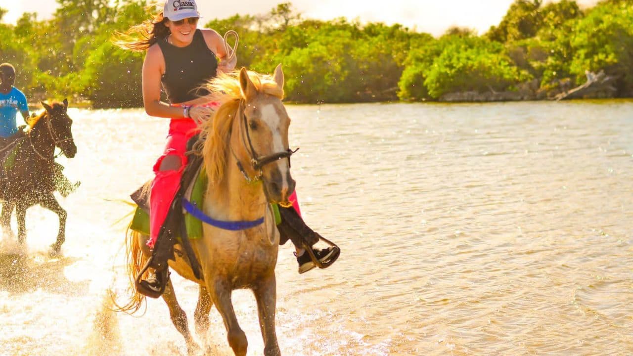 Macao Beach & Forest Horseback Adventure
