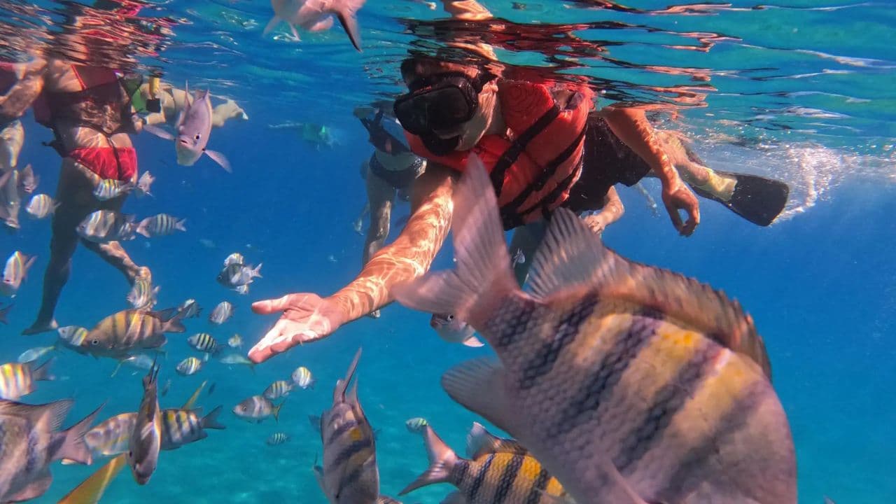 Scuba Dive in Sosua Cabarete
