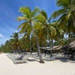 Saona Island Tour: Catamaran & Speedboat – All Inclusive