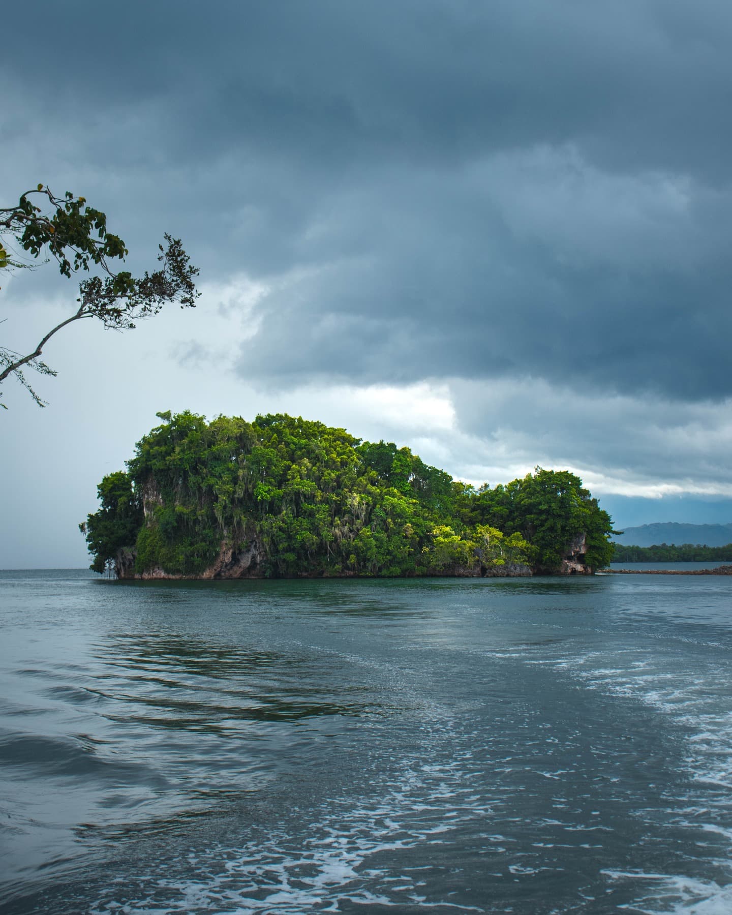 Samana: Tagestour zum Nationalpark Los Haitises und Caño Hondo - Photo 5 (Gallery view)