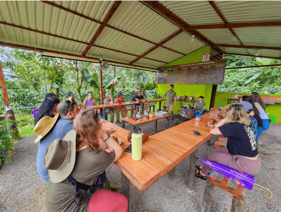 La Fortuna: Kaffee- und Schokoladentour durch North Fields - Photo 5 (Gallery view)