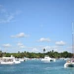 From Punta Cana: Saona Island Full Day Trip with Lunch - Photo 5 (Gallery view)