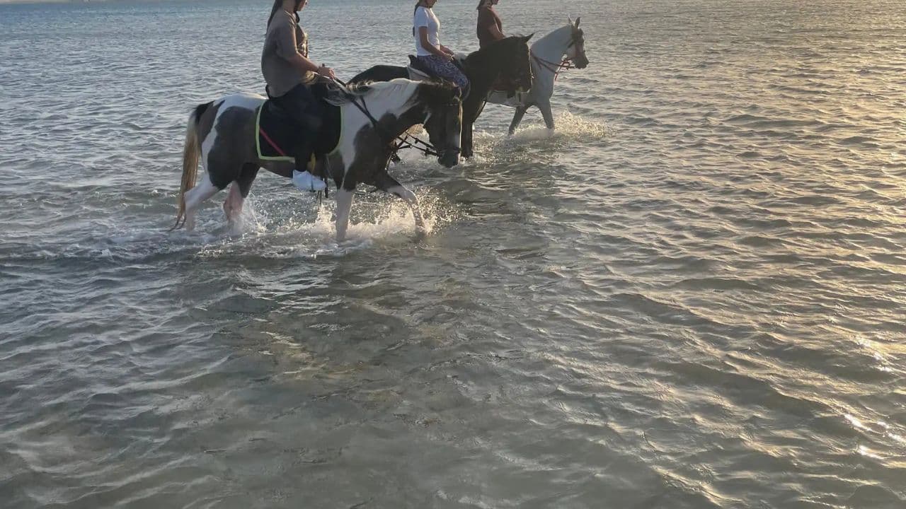 Punta Cana: Luxury Yacht Cruise with Snorkeling and Lunch