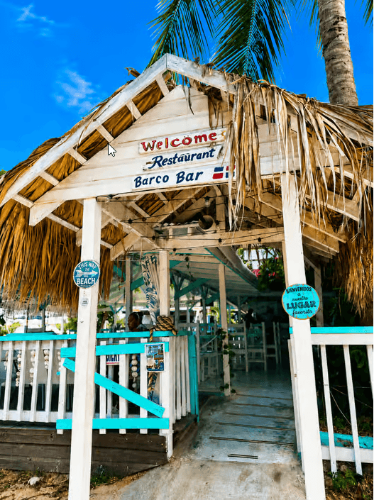 Punta Cana: Saona Island VIP Catamaran Tour All Inclusive - Photo 4 (Gallery view)