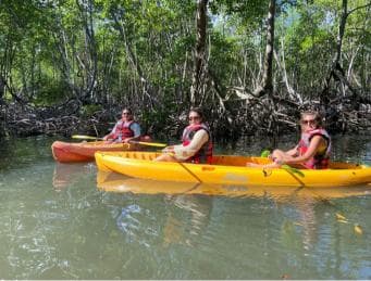 Los Haitises All One: Kayaking, Hiking, Boat, and Swimming