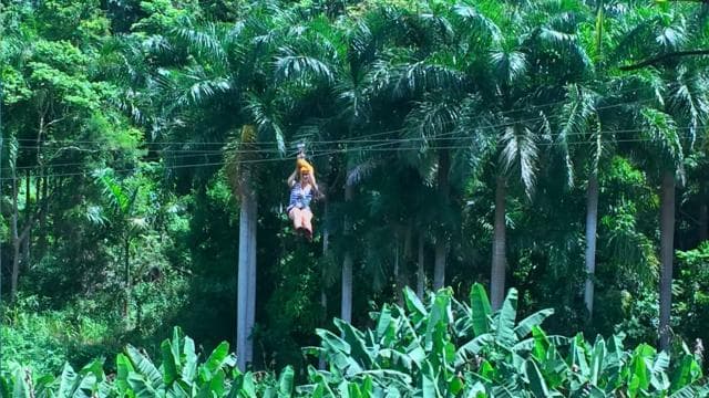Puerto Rico: Yunque Ziplining at the Rainforest