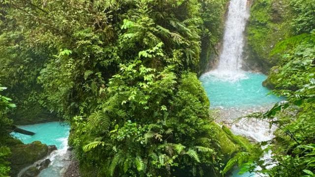 Quepos: White-Water Rafting on the Scenic Savegre River