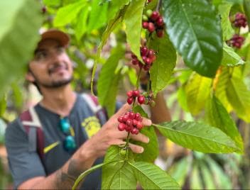 Las Terrenas: Private Coffee Trail ATV Tour in Samana