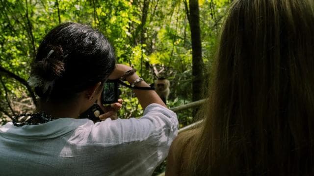 Manuel Antonio Park: Guided Walking Tour with a Naturalist - Photo 3 (Gallery view)