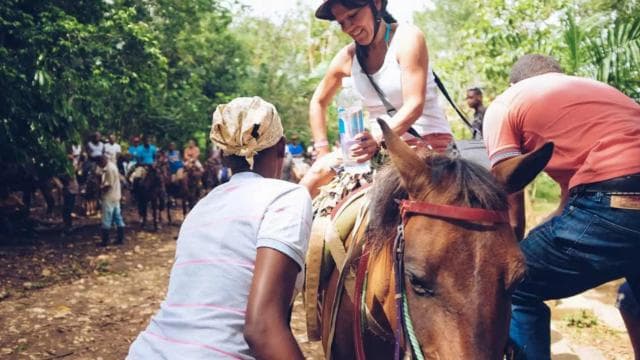 Punta Cana: Samana Full Day Trip Whale Cascada El Limon