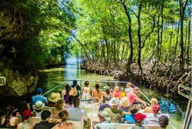 2in1: Nationalpark Los Haitises + Yanigua-Wasserfall-SPA - Photo 4 (Gallery view)