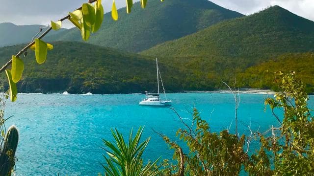 Fajardo: Catamaran Day Cruise to Palomino Island with Lunch - Photo 3 (Gallery view)