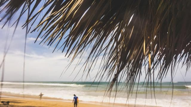 Punta Cana Surfing Experience: Surfujte v Dominikánské republice - Photo 4 (Gallery view)