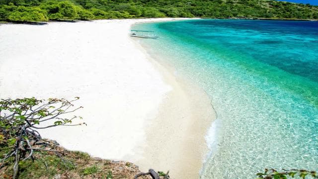 Vieques Adventure by Ferry from Ceiba.