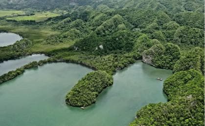 Private: Los Haitises & Cayo Levantado from Samana