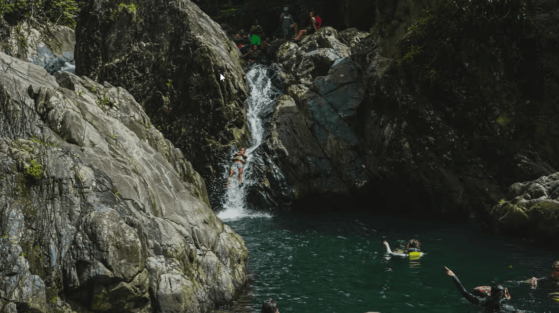 El Yunque Rainforest Hike & Waterslide Tour - Photo 4 (Gallery view)