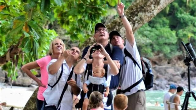 Manuel Antonio: Manuel Antonio National Park Guided Day Trip