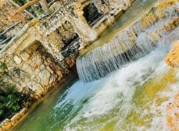 Samana: Los Haitises National Park & Caño Hondo Day Tour