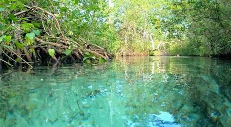 Playa Rincon Safari Adventure from Samaná special