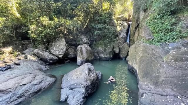 El Yunque & Piñones Tour; Hike, Eat and Chill like a Local