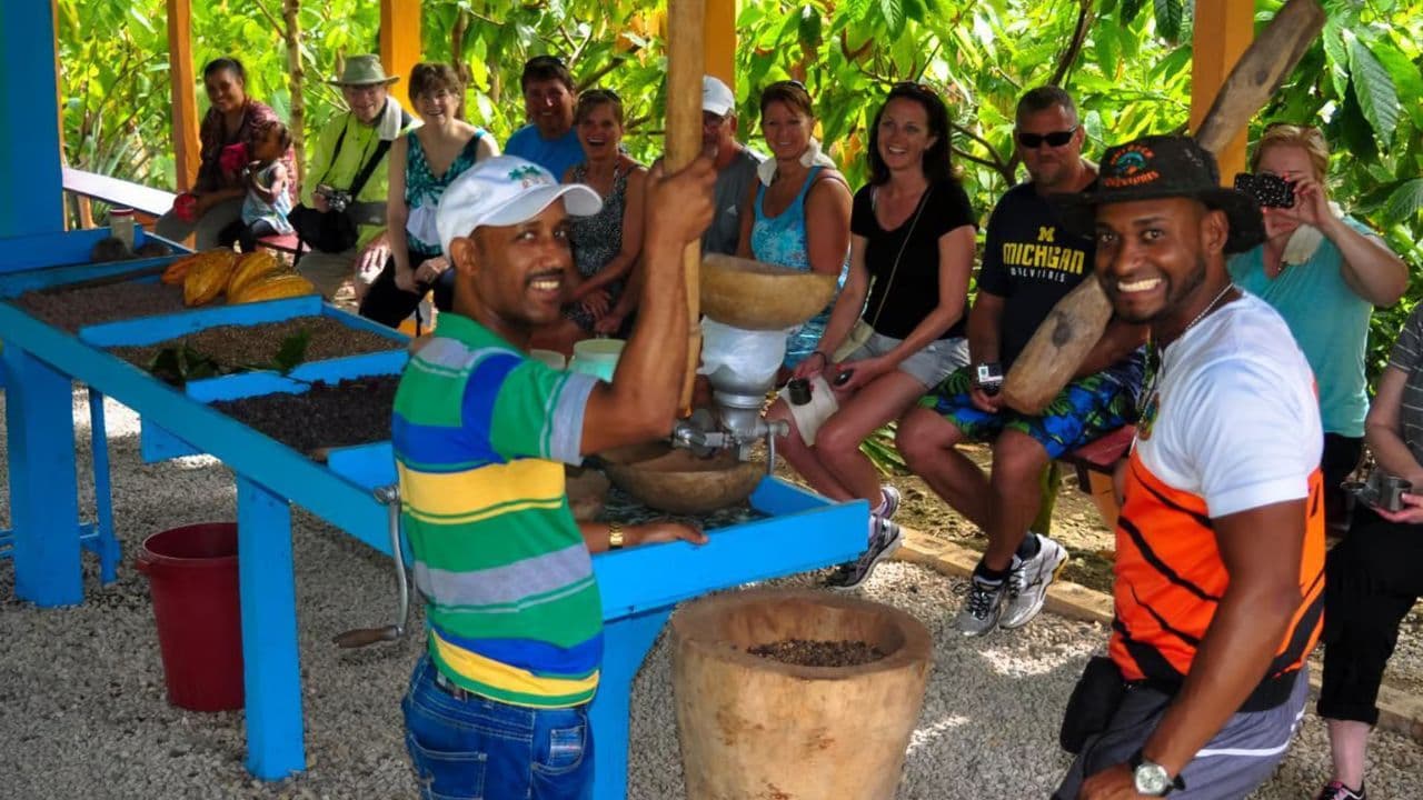 Desde Punta Cana: tour de medio día por el safari por la Basílica de Higüey - Photo 4 (Gallery view)