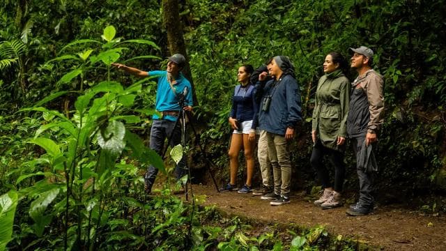 Monteverde: Monteverde Cloud Forest Canopy Adventure