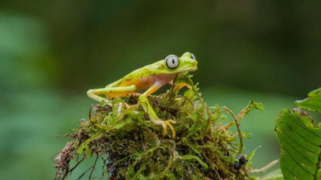 Natura Eco Park Admission: Wildlife Sanctuary