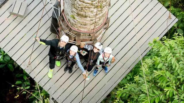Jaco Beach: Zip Line Canopy Tour - Photo 4 (Gallery view)