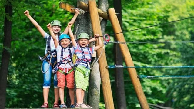 Punta Cana: Zipline Canopy Adventure with Hotel Pickup